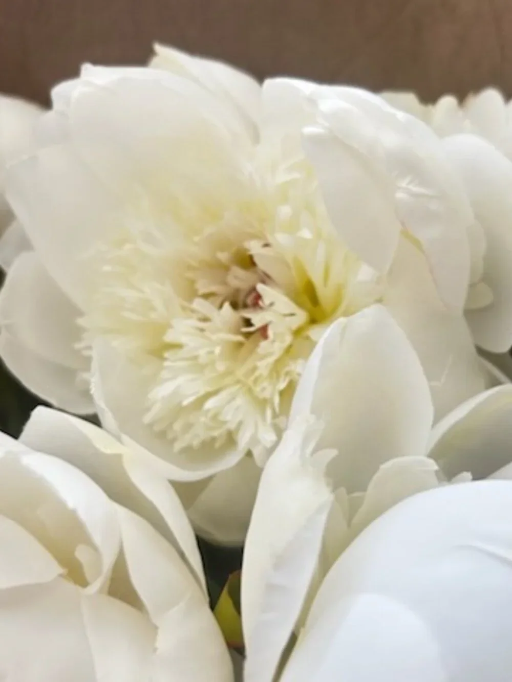 10 Life Like White Faux Peonies With Lush Layered Petals and Flexible Stems